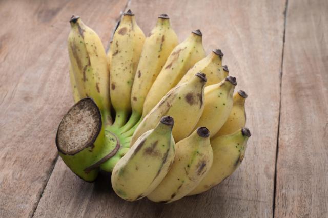 Pomoæu banana razvili skener za borbu protiv raka kože